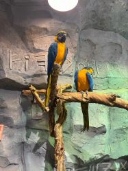 -Zoolung Zoolung动物主题公园(海信广场店)