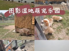 -长兴太湖图影湿地文化园