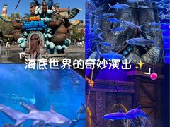 -哈尔滨波塞冬海底世界