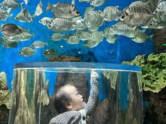 -锦艺城海洋馆