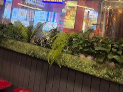 -钢管厂五区小郡肝火锅串串香(总店)