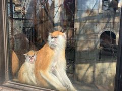 -昆明动物园