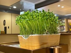 -海底捞火锅(上地华联店)