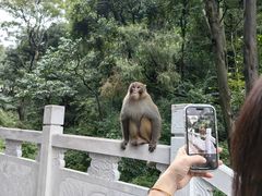 -黔灵山公园
