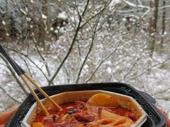 -武陵山森林公园