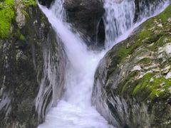 -牛背梁国家森林公园