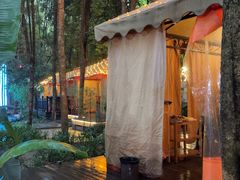 -二荆条·蜀鲜汇城市森林火锅