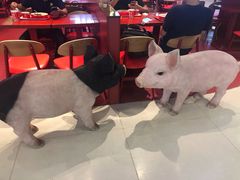 -猪角·闽南猪脚饭(上梅林店)
