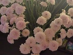-小仙女采耳·按摩·SPA(深圳旗舰店)