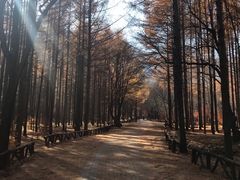 -龙道沟景区
