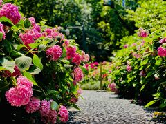 -常州古运河南大街文化旅游区-人民公园