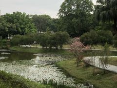 -东莞植物园