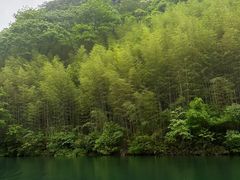 -石台牯牛降景区