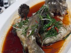 -79号渔船海鲜饭店(华强北店)