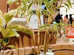 -苏小柳点心·手作小笼包(浦东嘉里城分院)