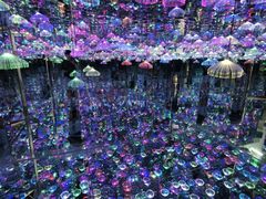 -天津梵高星空艺术馆(天河城旗舰店)