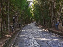 -蝴蝶泉公园