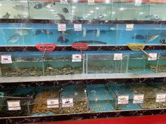 -源海渔村·现捞海鲜(大角湾店)