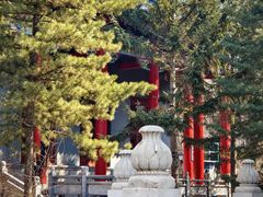 -哈尔滨极乐寺