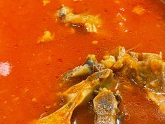 番茄牛尾汤-曾牛肉