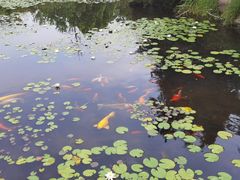 -白马涧龙池景区