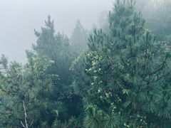 -苍山感通索道