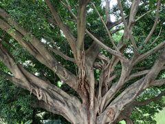 -人民公园(罗湖区)