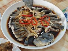 稀鳞硅鱼-煲来饱去冷水鱼
