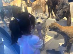 -北京大学赛克勒考古与艺术博物馆