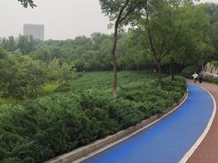 -滨河世纪广场公园