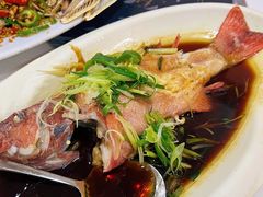 -凤城康记饭店