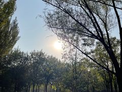 -永定河休闲森林公园