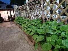 -听风阁农家私房菜茶楼(龙坞店)