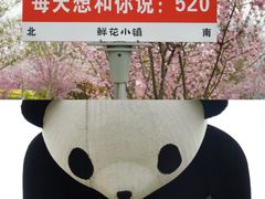 -南通鲜花小镇