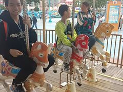 -海合安成都极地海洋公园