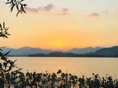 -湖畔居茶楼(湖滨店)