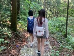 -素山寺森林公园