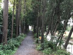 -前小桔亲子创意农场·草莓采摘·露营烧烤