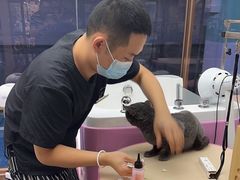 -FAELING PETS美天灵宠物(富力广场店)