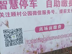 -顾村公园3号门停车场