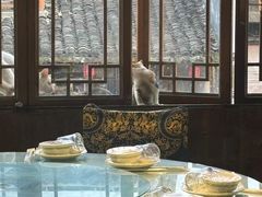 -西塘人家•黑金冠本地好店
