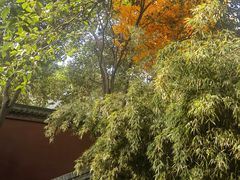 -西安市广仁寺