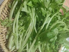 -巴奴毛肚火锅(龙湖锦艺城店)