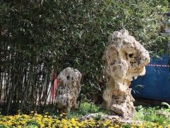 -玲珑塔公园
