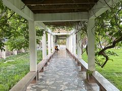 -山东大学(趵突泉校区)