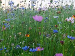 -白塘生态植物园