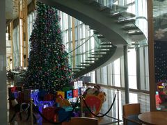 -视界美食自助餐厅·石家庄希尔顿酒店