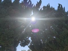 -小麦岛公园