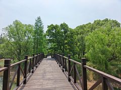 -贡湖湾湿地公园