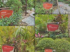 -碧桂园润杨溪谷温泉酒店